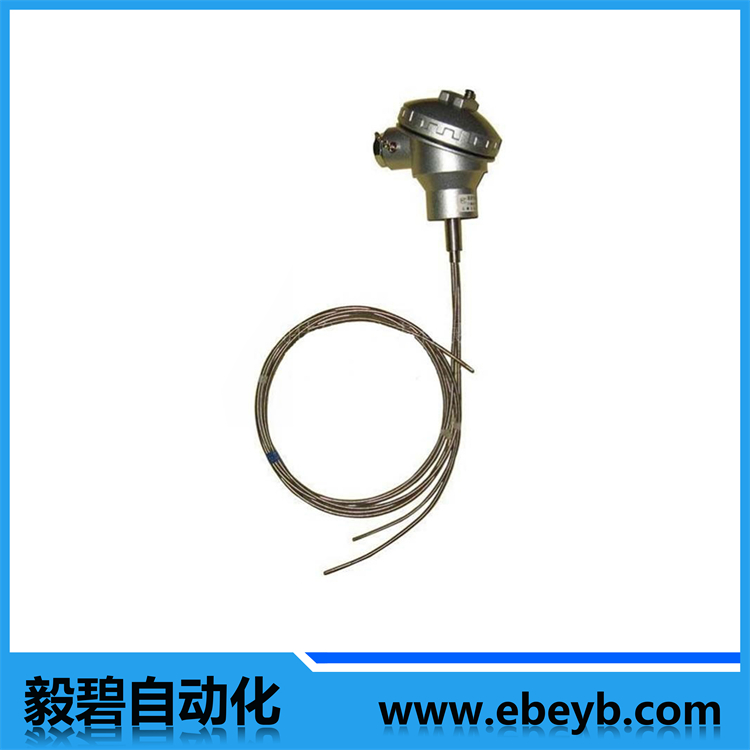 多點（diǎn）熱電偶