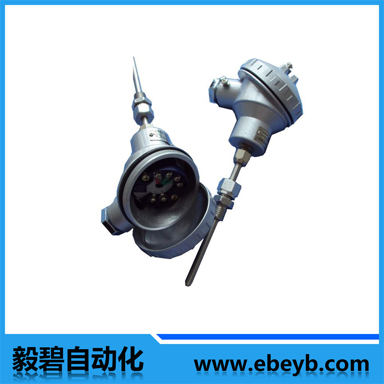 一體化熱電偶（帶溫度變送器）