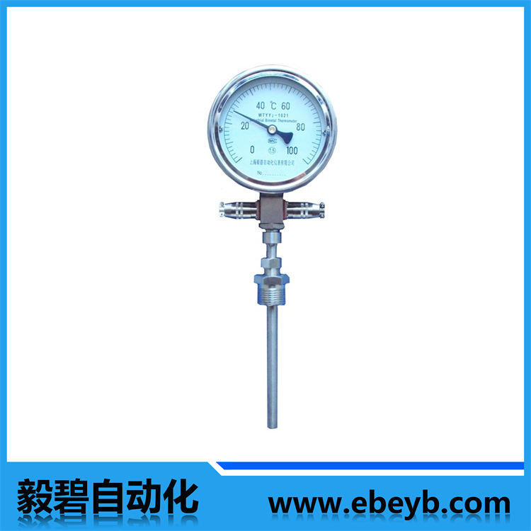 WTYY係（xì）列遠傳溫度計