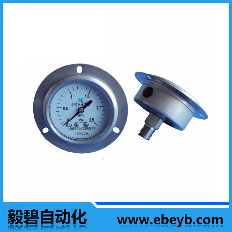 不鏽鋼軸向帶邊壓力表