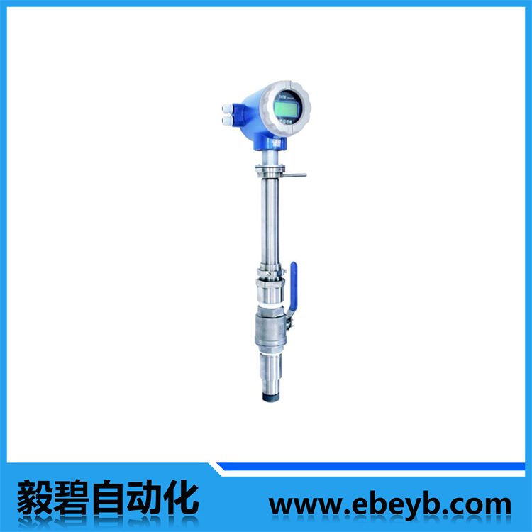 插入式電磁流（liú）量計