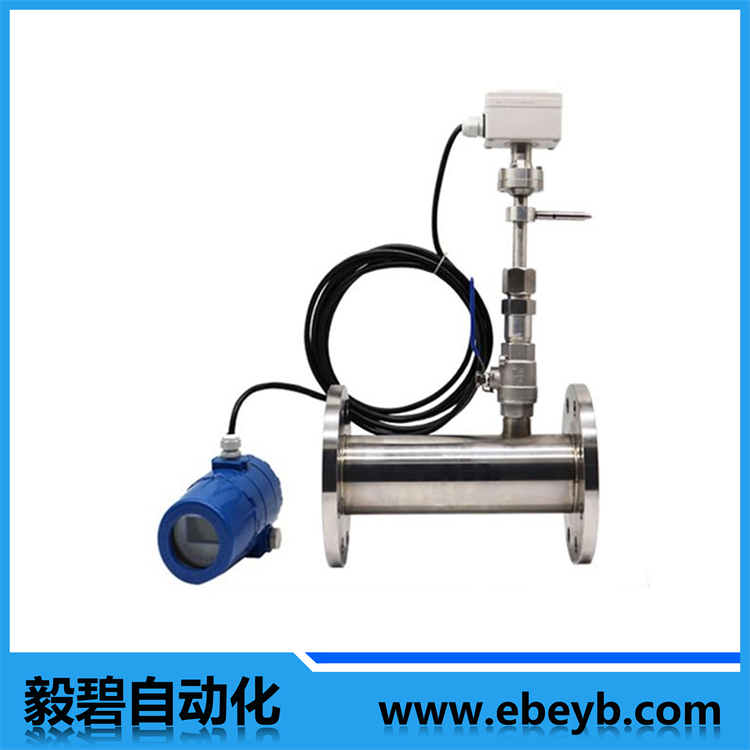 熱式氣體質量流量計（管道分體式（shì））